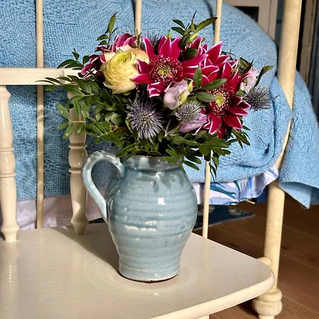 B&B Cosy Garden Alblasserdam Room photo